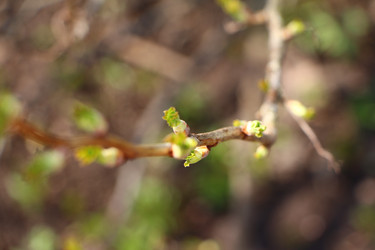 Similar image 22597047