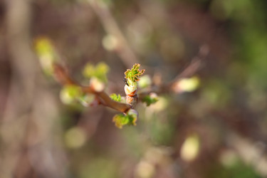 Similar image 22597048