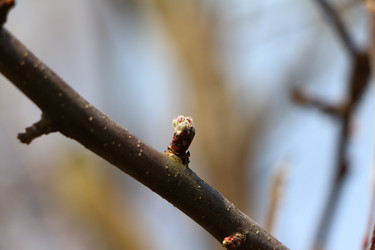 Similar image 22600182