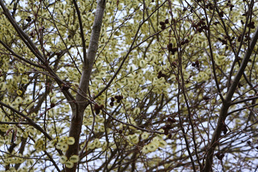 Similar image 22600198