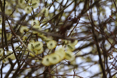 Similar image 22600199