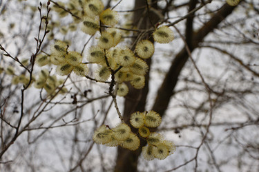 Similar image 22600200