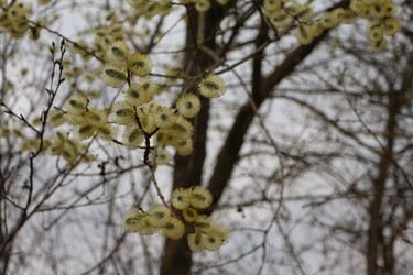 Similar image 22600201