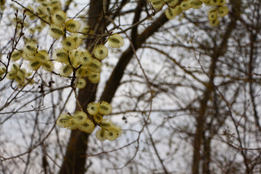 Similar image 22600202