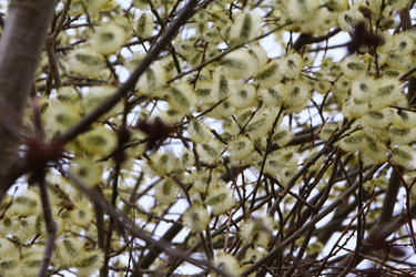 Similar image 22600220