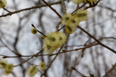 Similar image 22600221