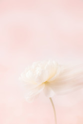 Similar image 22608713