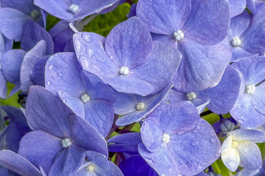 Similar image 22608733