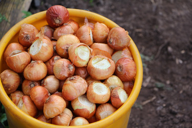 Similar image 22600203