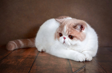 Similar image 22621171