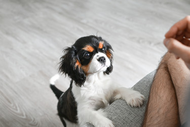 Similar image 22621174