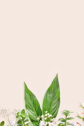 Similar image 22608686