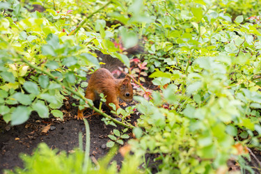 Similar image 22597145