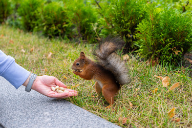 Similar image 22597162