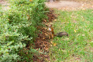 Similar image 22597163