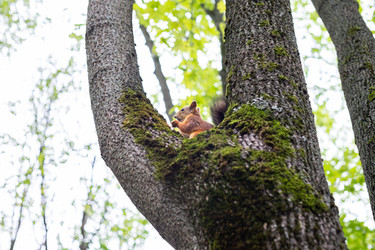 Similar image 22597146