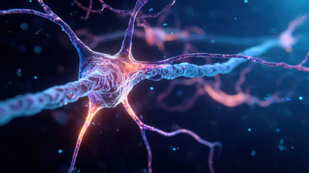 Similar image 22606918