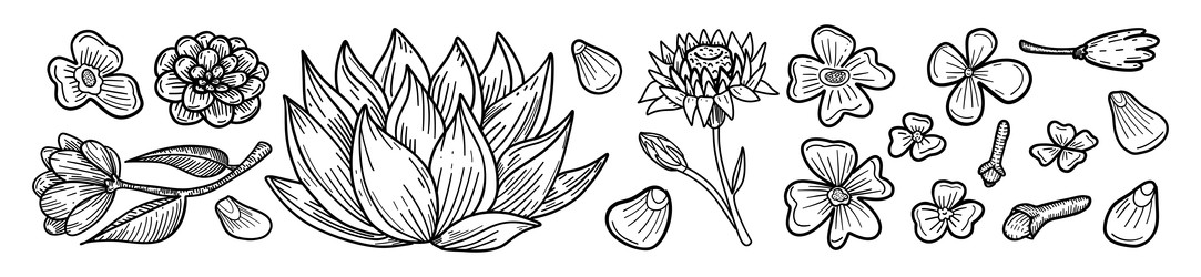 Similar image 22606948