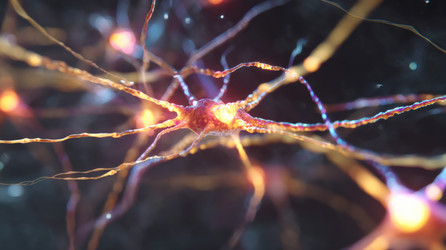 Similar image 22606838