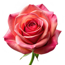 Similar image 22596263