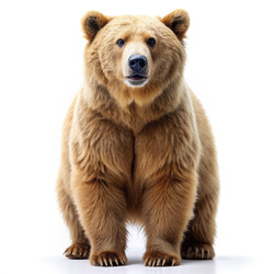 Similar image 22596286