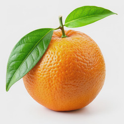 Similar image 22596388