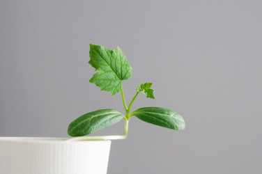 Similar image 22596892