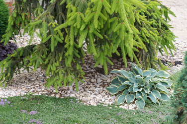 Similar image 22596879