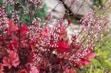 Similar image 22596881