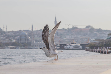 Similar image 22595083