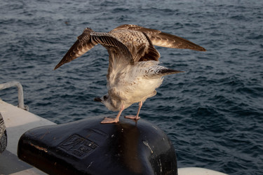 Similar image 22595098