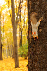 Similar image 22618191