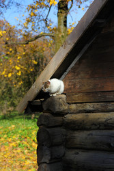 Similar image 22596865