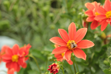 Similar image 22602104