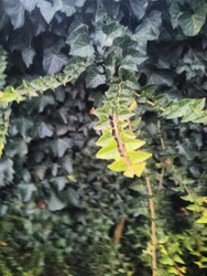 Similar image 22596965