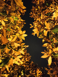 Similar image 22596966