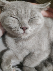 Similar image 22596967