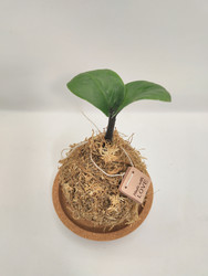 Similar image 22596968