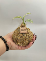 Similar image 22596969