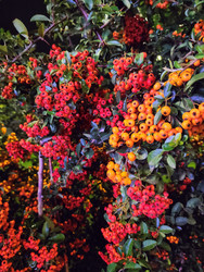 Similar image 22596948