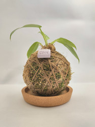 Similar image 22596950