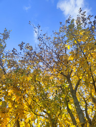 Similar image 22596954