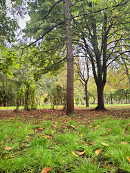 Similar image 22596955