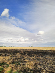 Similar image 22596973