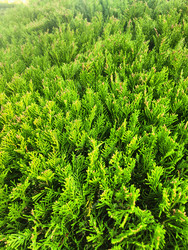 Similar image 22596974