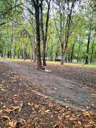 Similar image 22596975