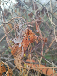 Similar image 22596976