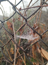 Similar image 22596977