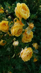 Similar image 22594920