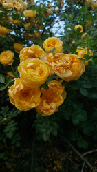 Similar image 22594923